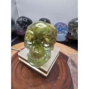 Ocean jasper Resin Anatomical Skull - Vitreous Botanical Specimen | CrystalCloud